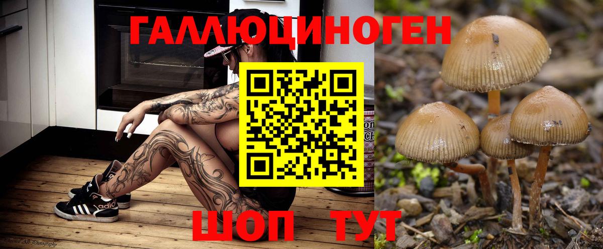Псилоцибиновые грибы Psilocybe  Вход с VPN  Галлюциногенные грибы MAGIC MUSHROOMS  Тавда 